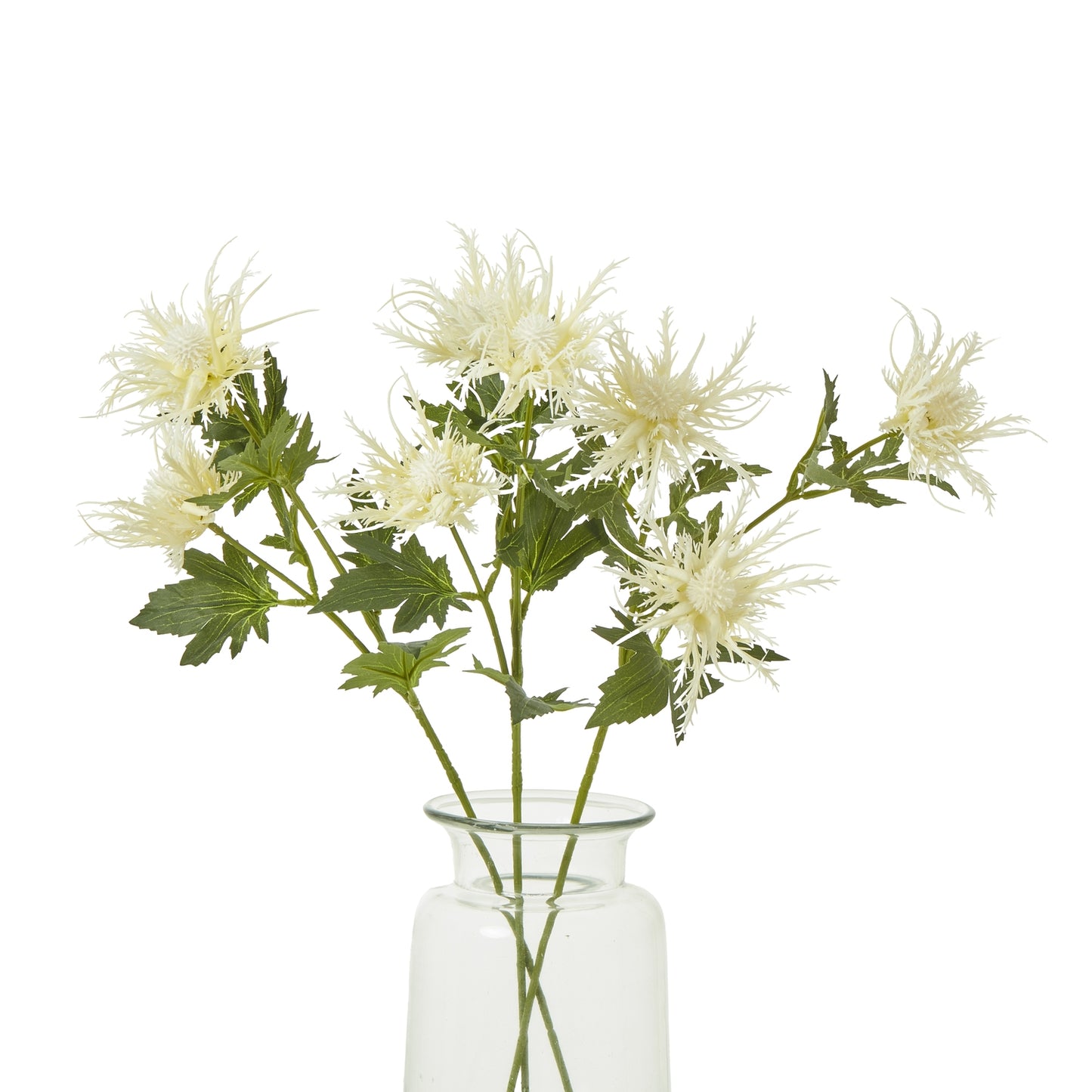 Cream Sea Holly Spray - Skandi London