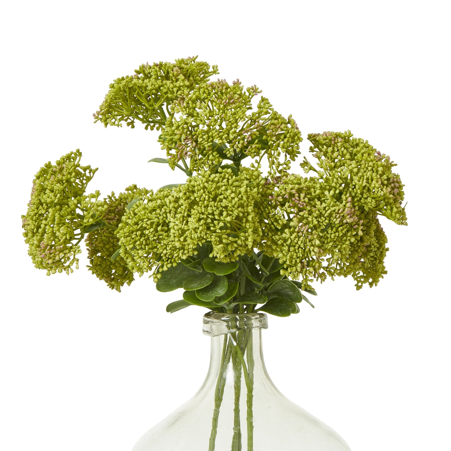 Green Sedum Spray - Skandi London