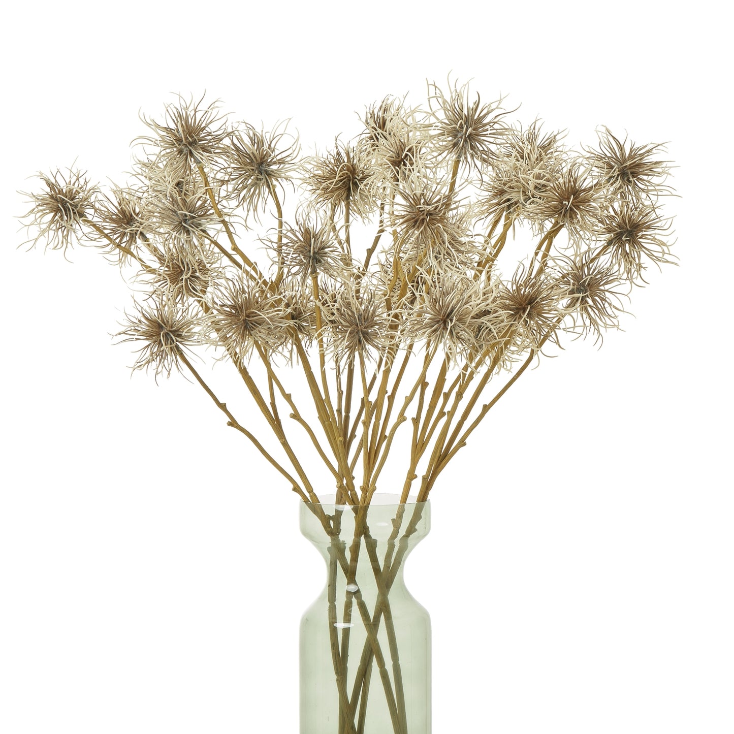 Brown Xanthium Spray - Skandi London