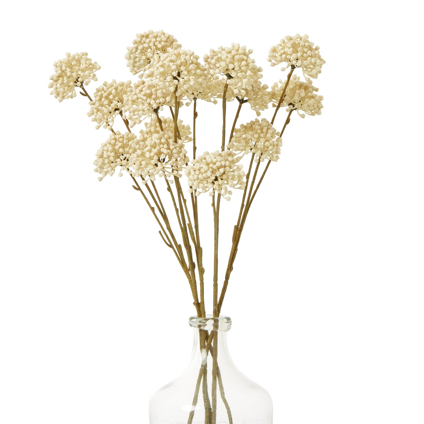 Cream Allium Spray - Skandi London