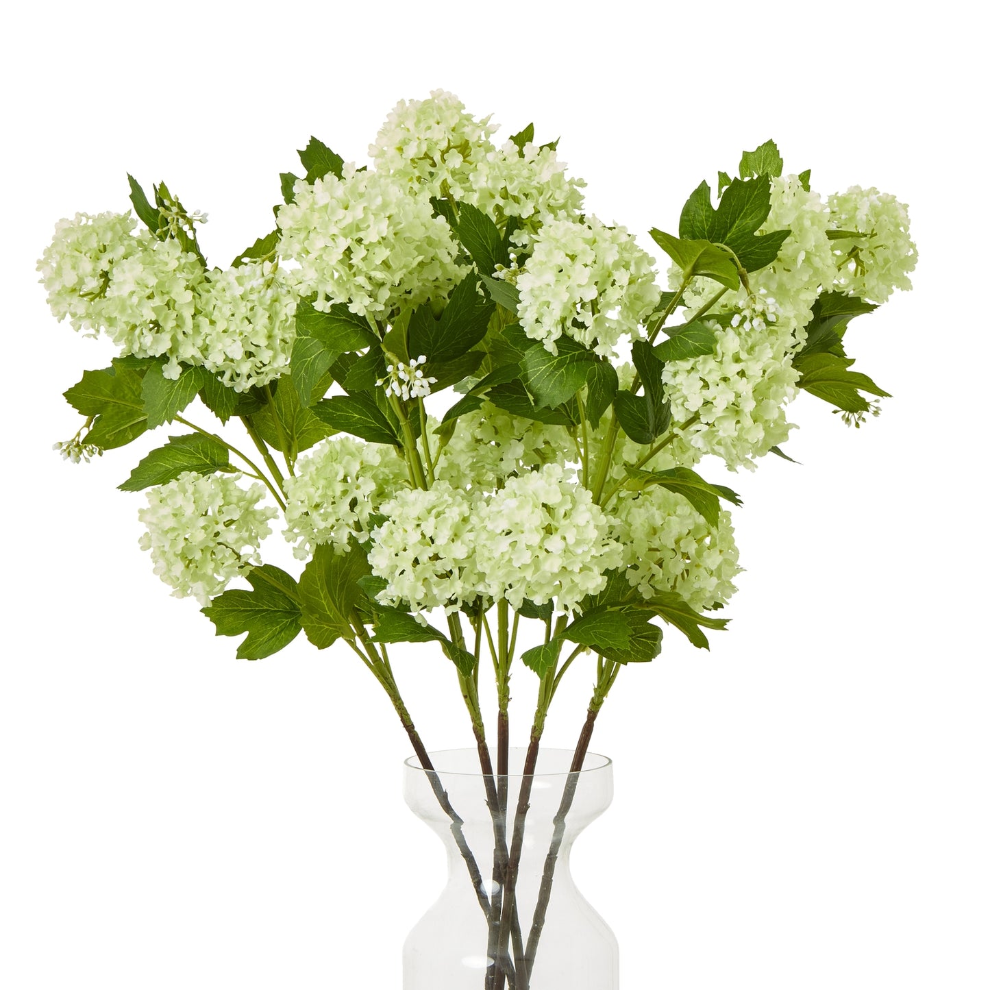 Green Snowball Viburnum Spray - Skandi London