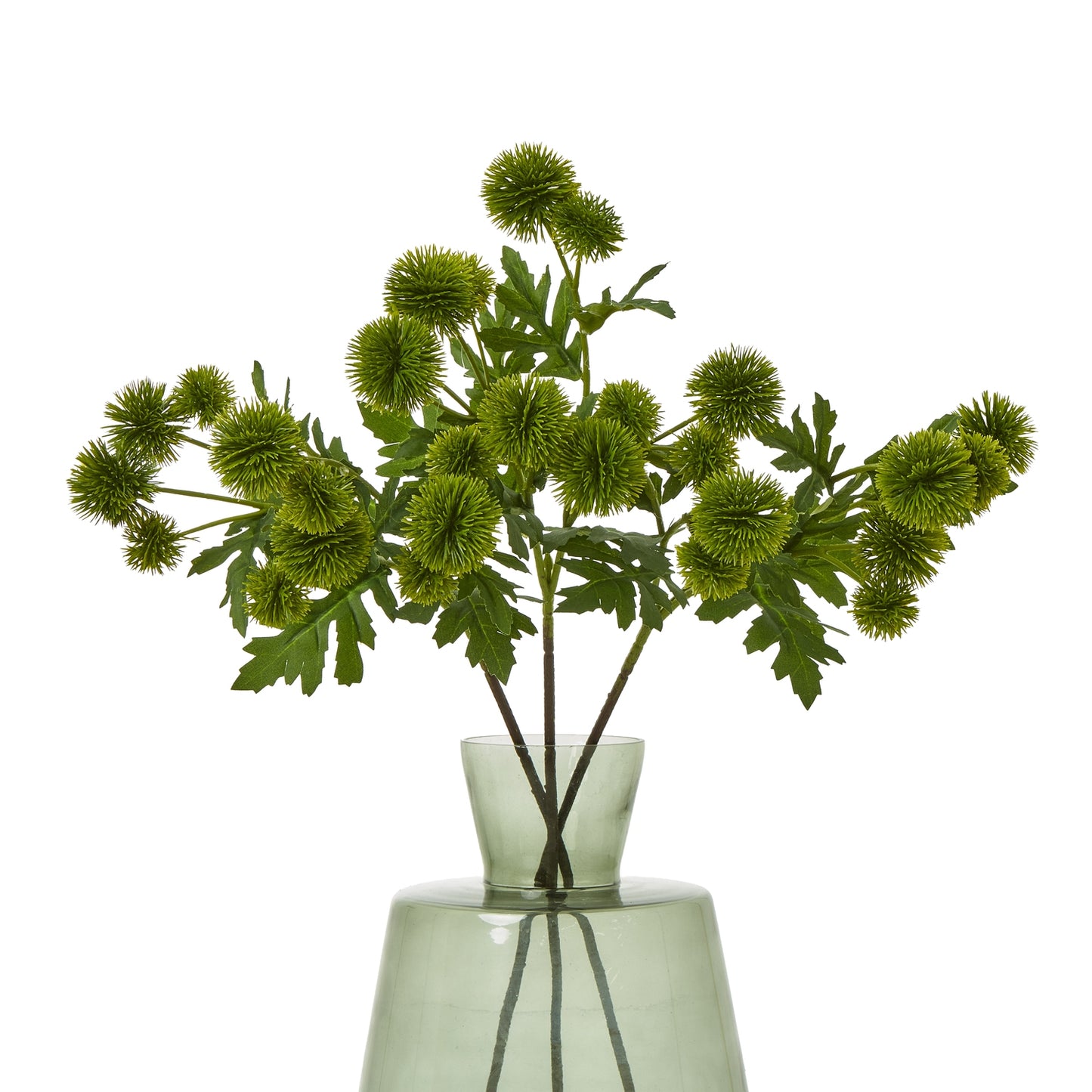 Green Globe Thistle Spray - Skandi London