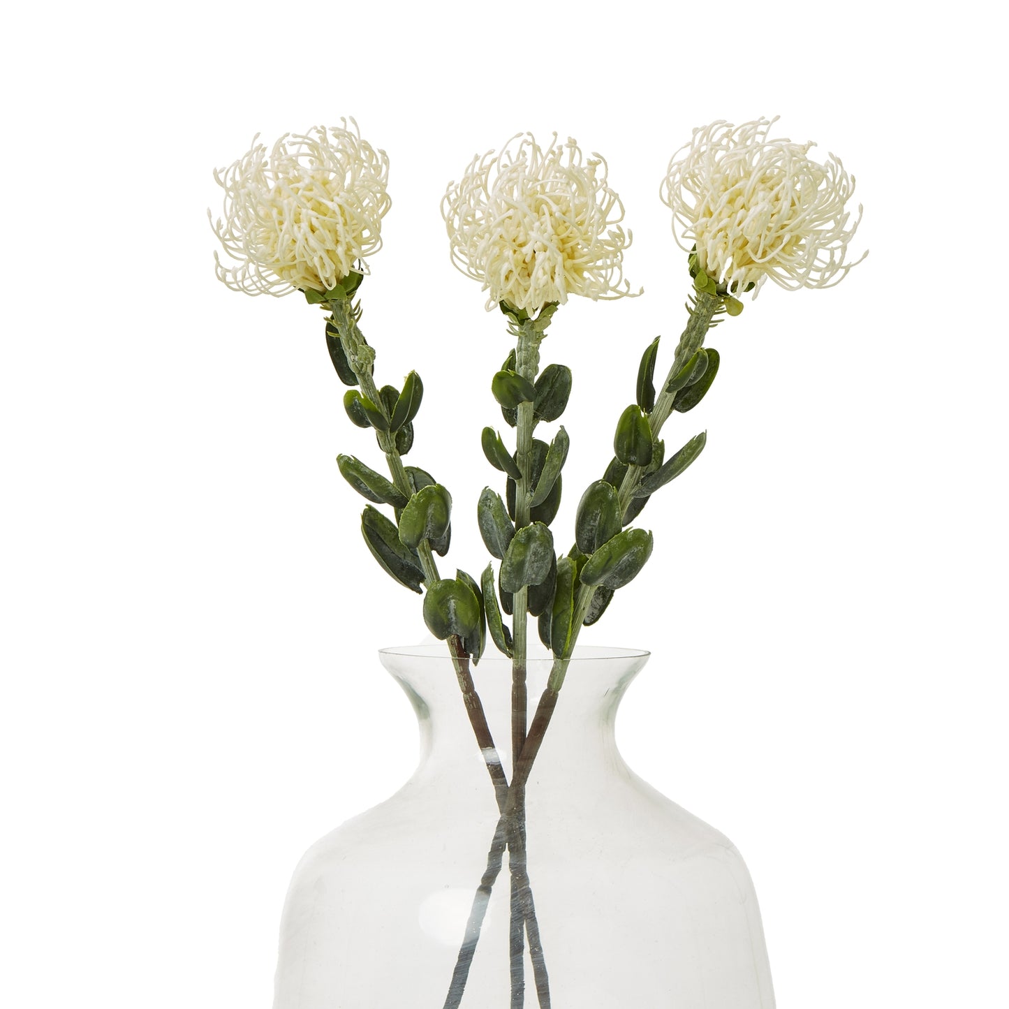 Cream Pincushion Protea Spray - Skandi London