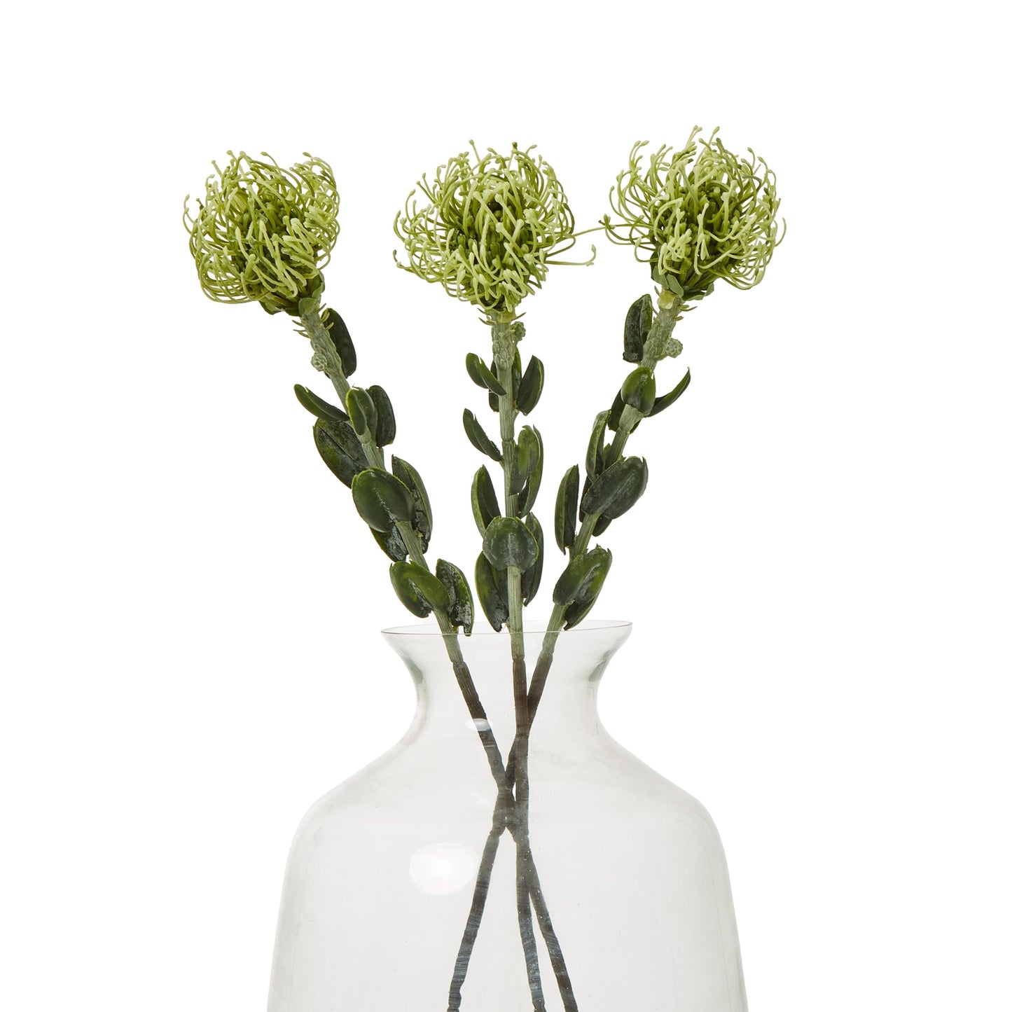 Green Pincushion Protea Spray - Skandi London