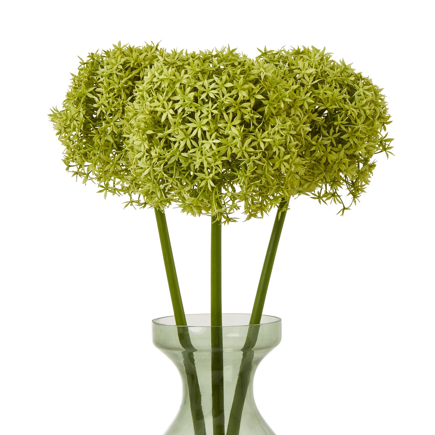 Green Giant Allium Stem - Skandi London