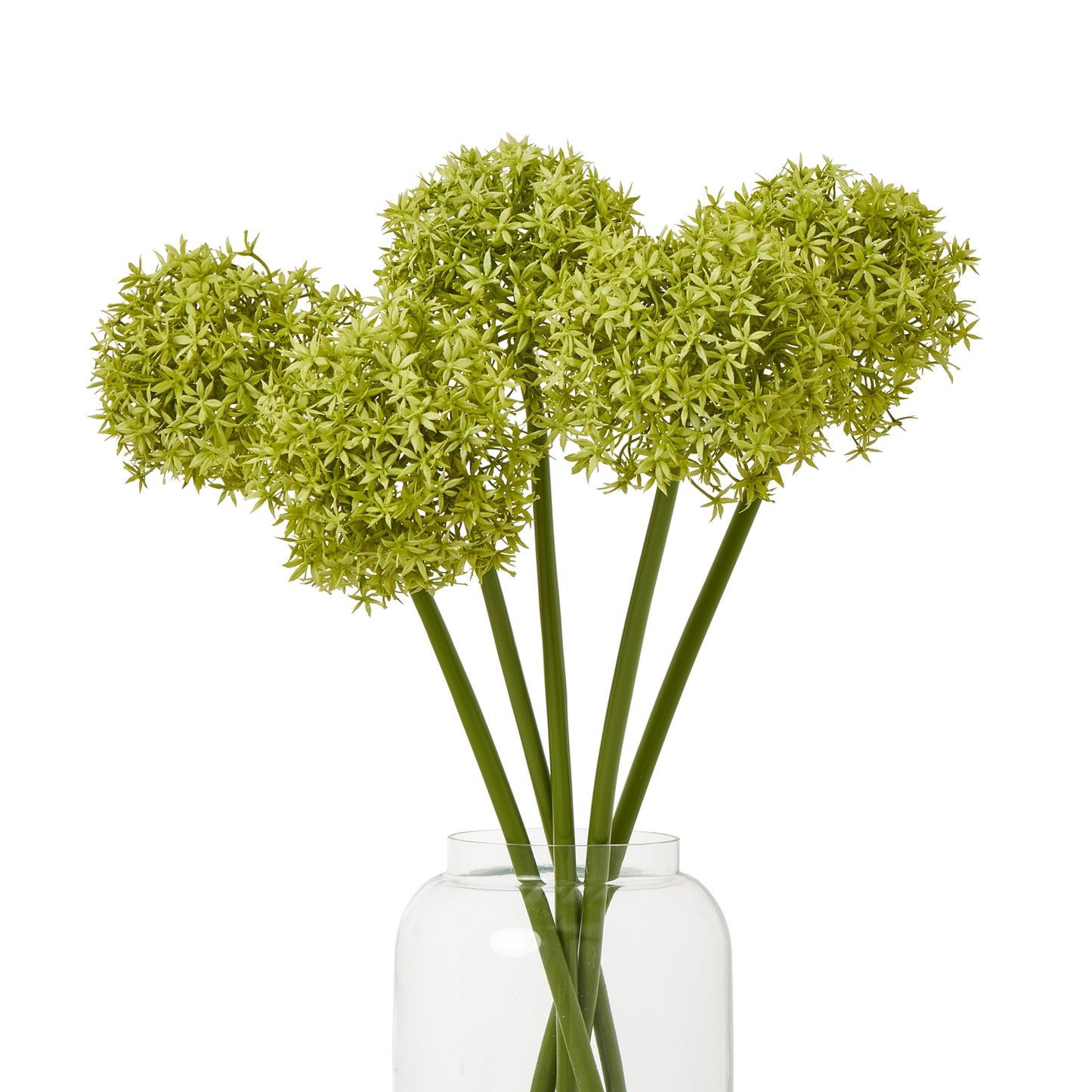 Green Medium Allium Stem - Skandi London