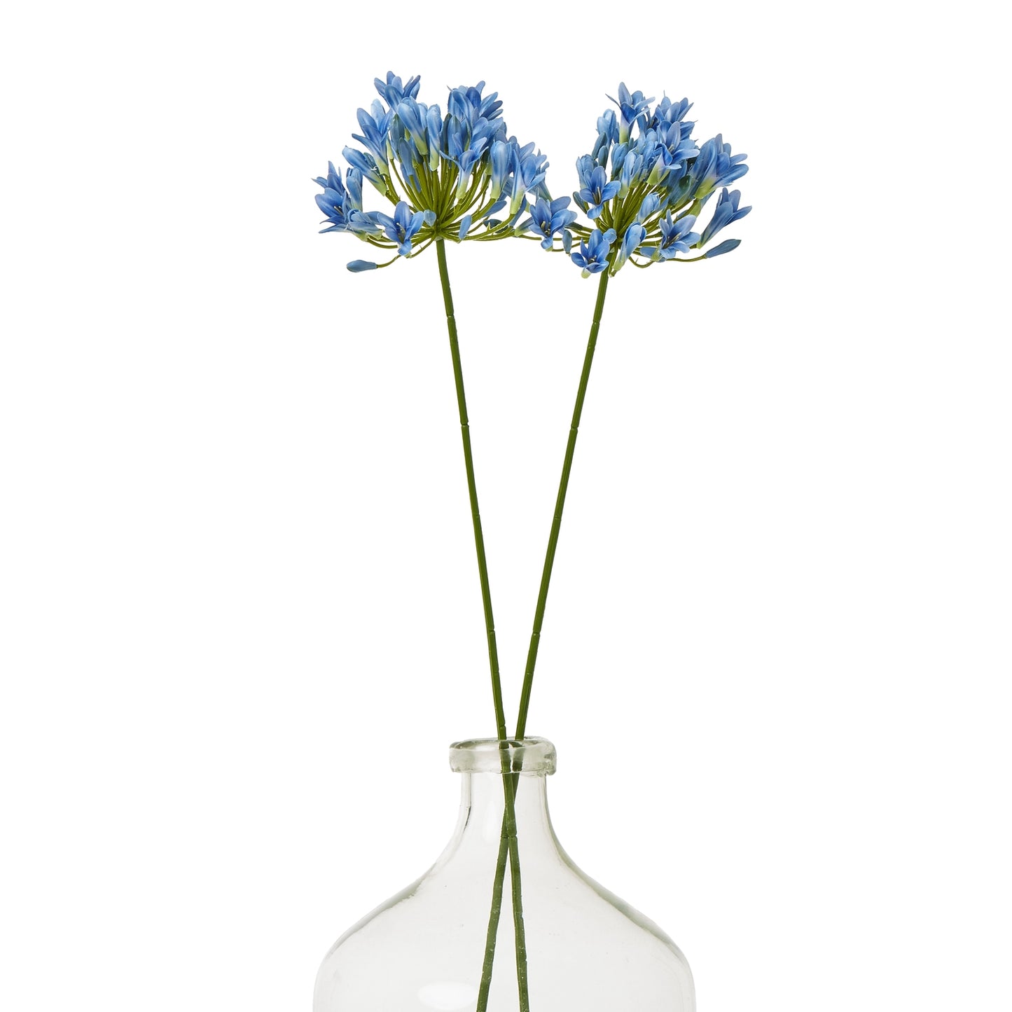 Blue Agapanthus Stem - Skandi London