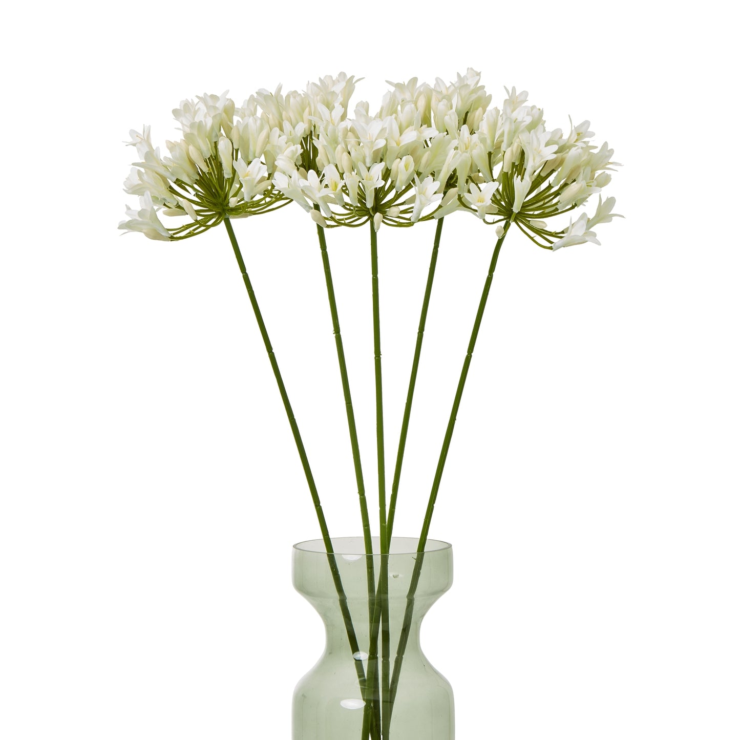 Cream Agapanthus Spray - Skandi London