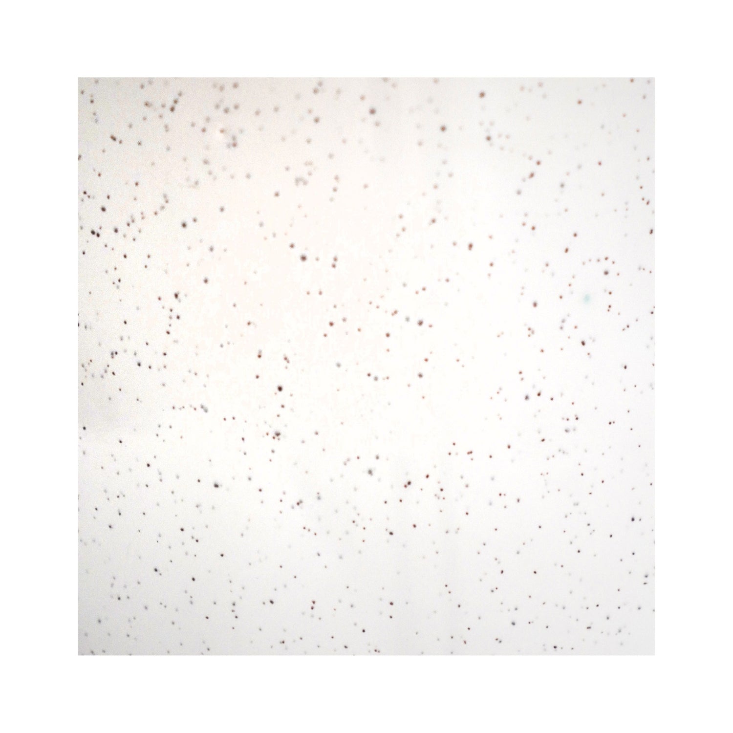 Alfta Ivory Speckled Planter Medium - Medium - Skandi London