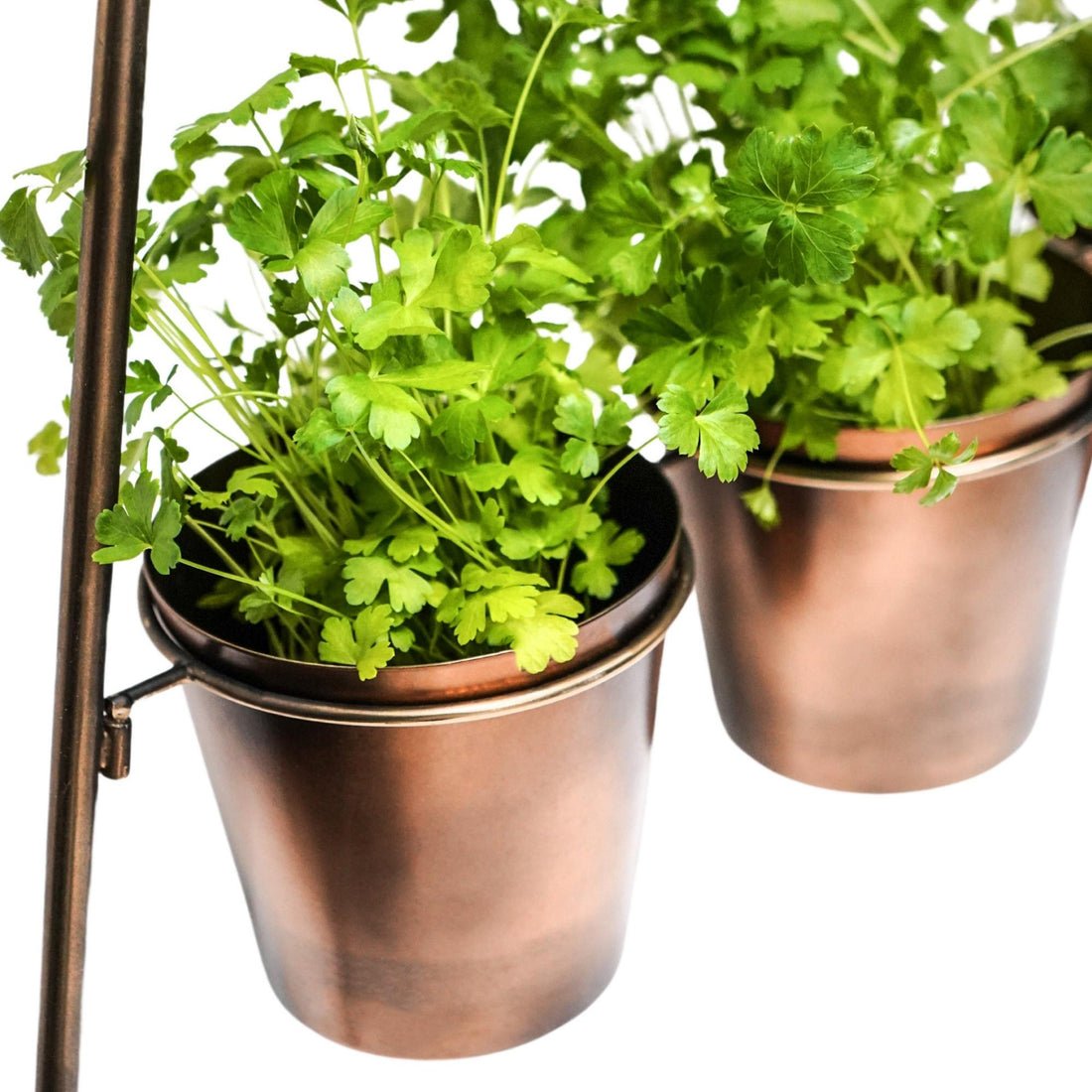 Outdoor Ulrica Vertical Gold Metal Wall Plant Stand with Planters - Medium - Skandi London