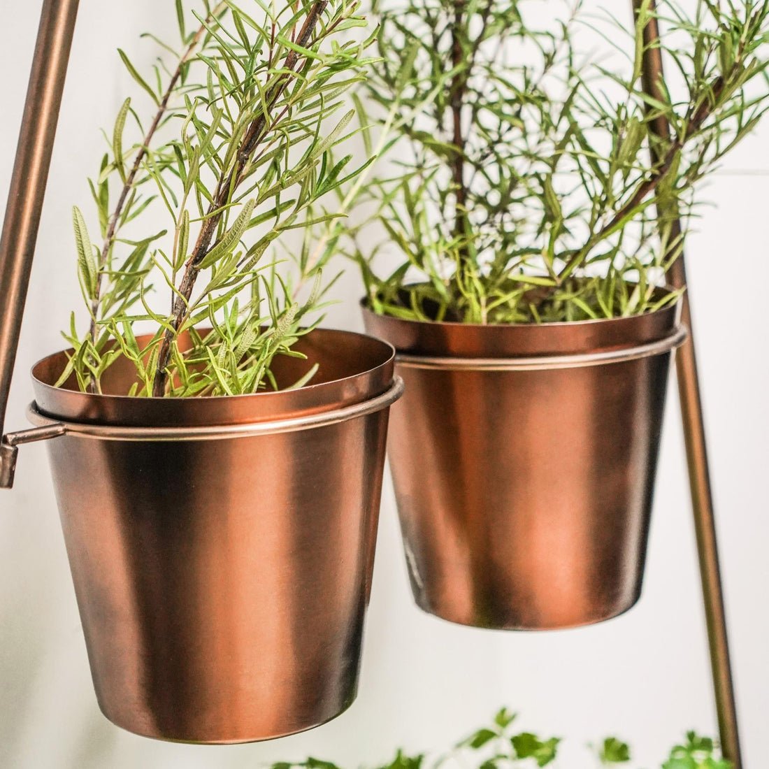 Outdoor Ulrica Vertical Gold Metal Wall Plant Stand with Planters - Small - Skandi London