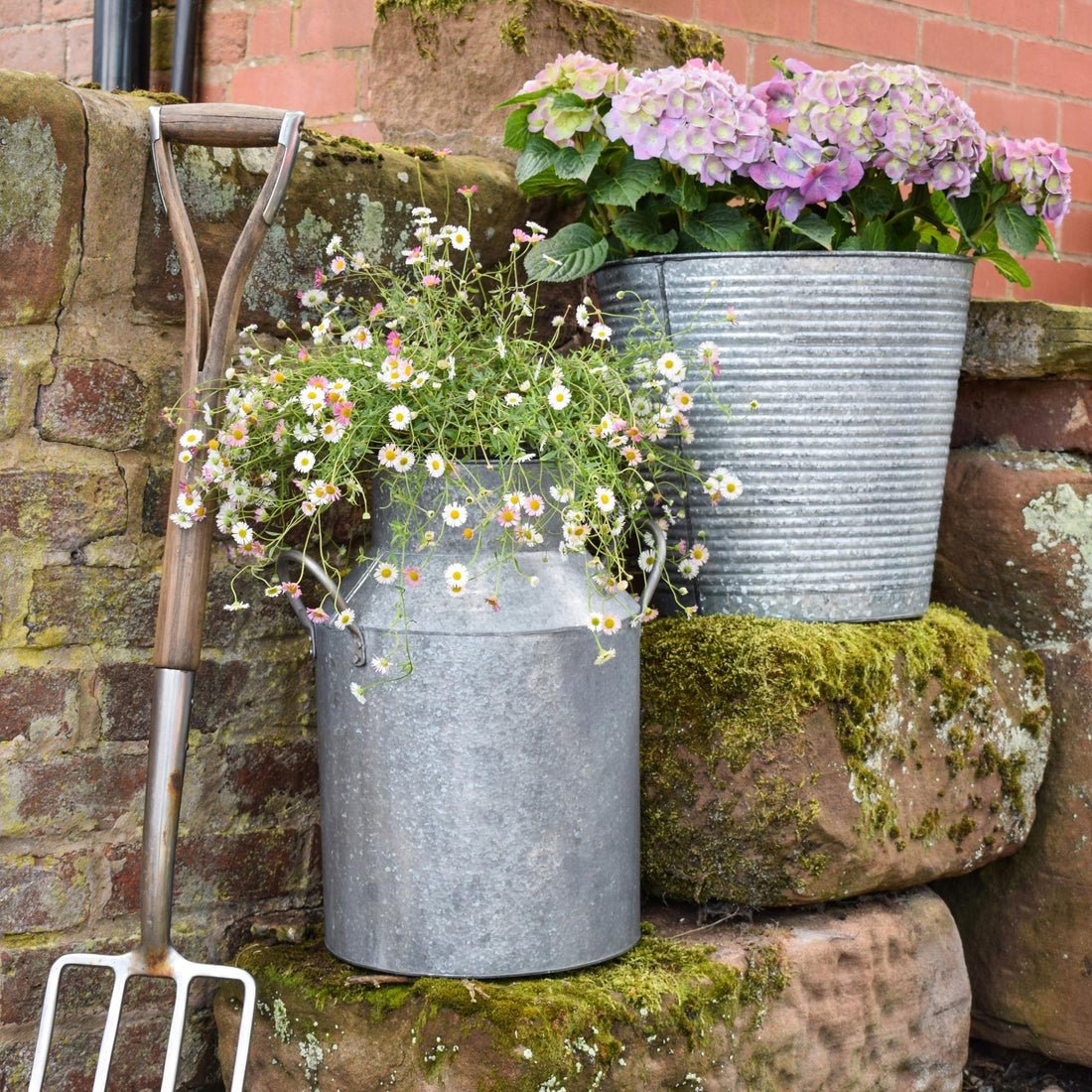 Wolter Galvanised Milk Churn - Skandi London