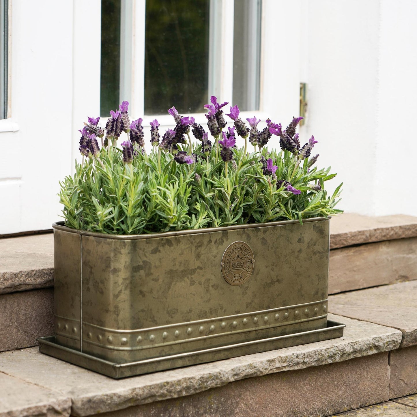 Skandi London Luxe Outdoor Trough in Brass - Medium - Skandi London