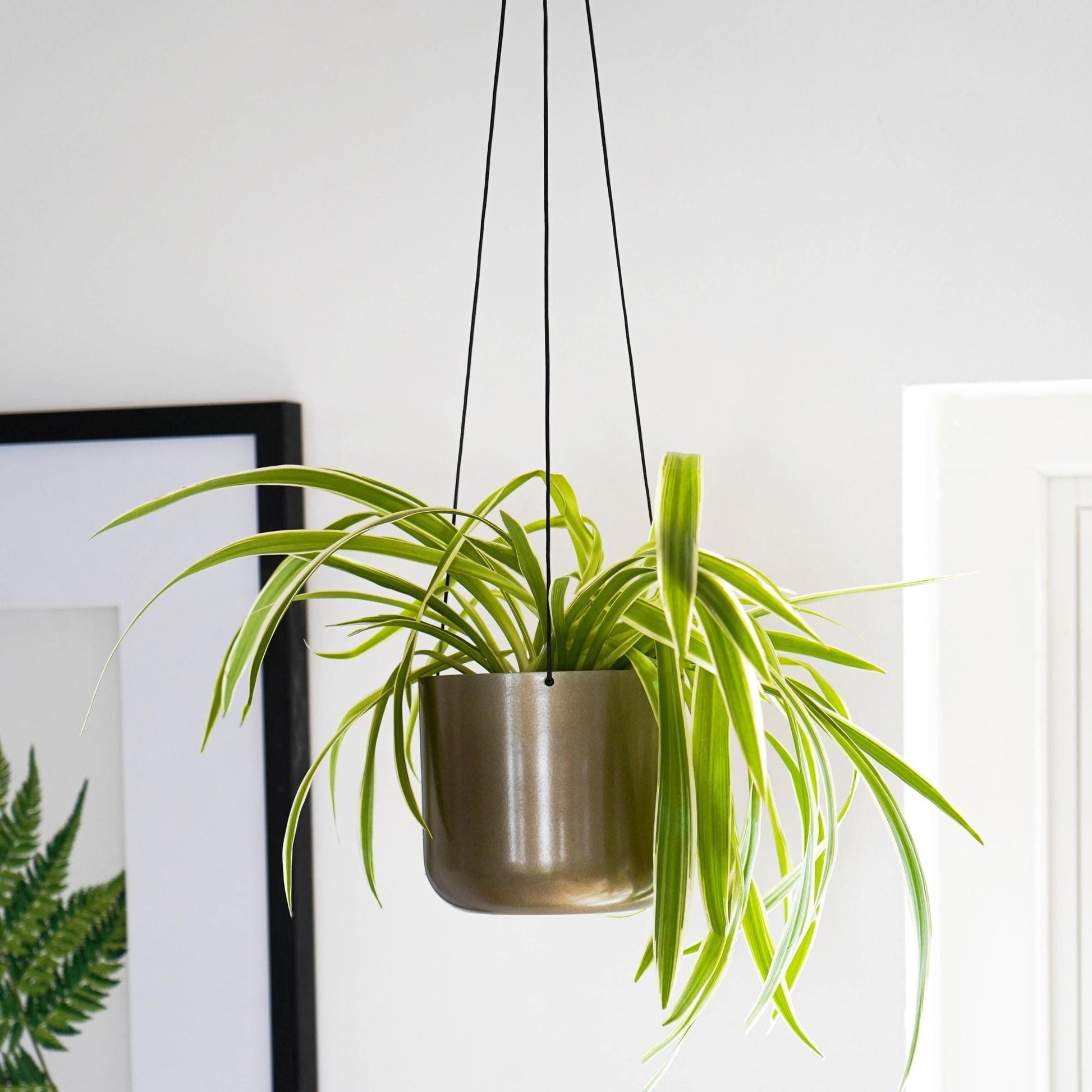 Skandi London Hanging Planter in Brass - Small - Skandi London