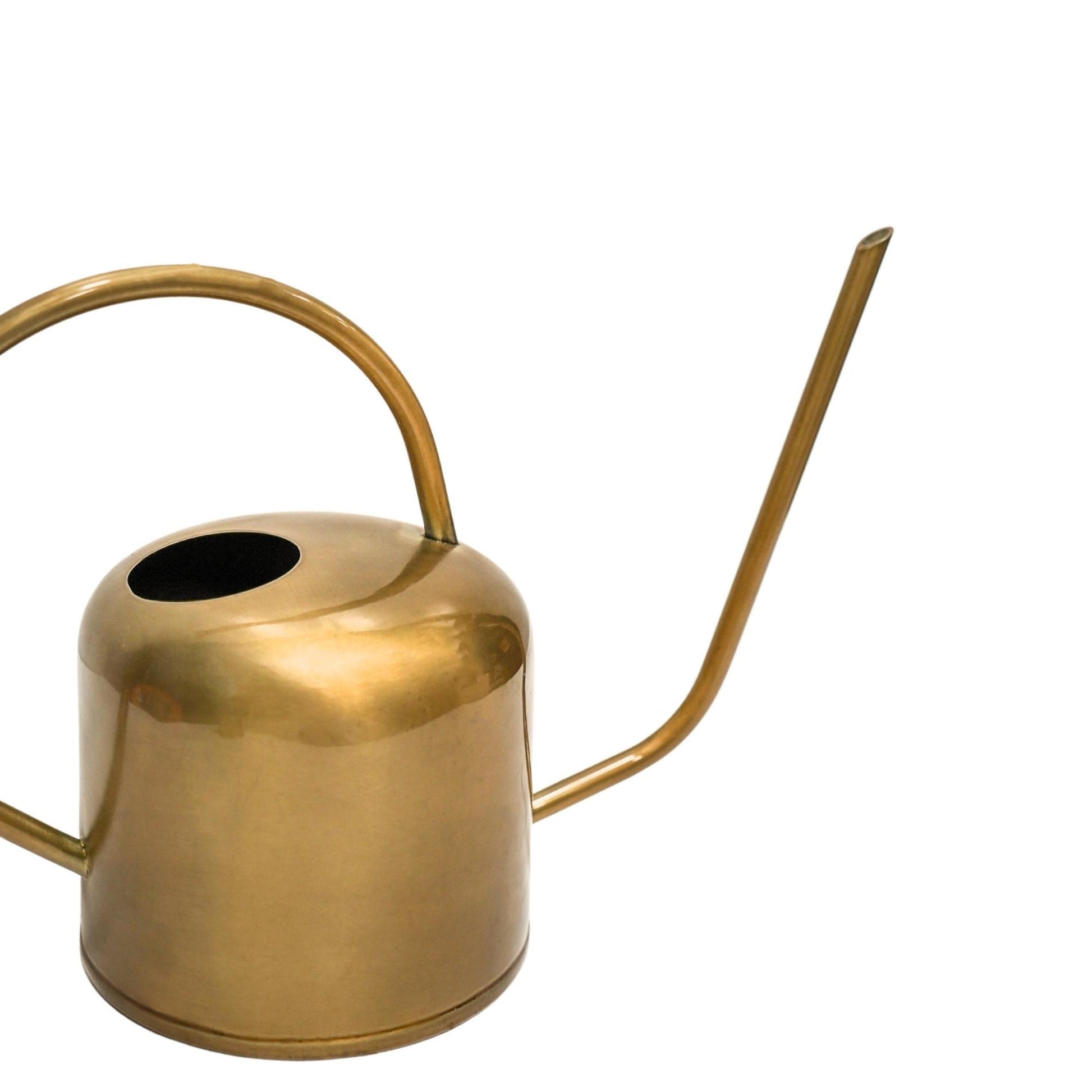 Skandi London Plant Watering Can in Brass - Skandi London