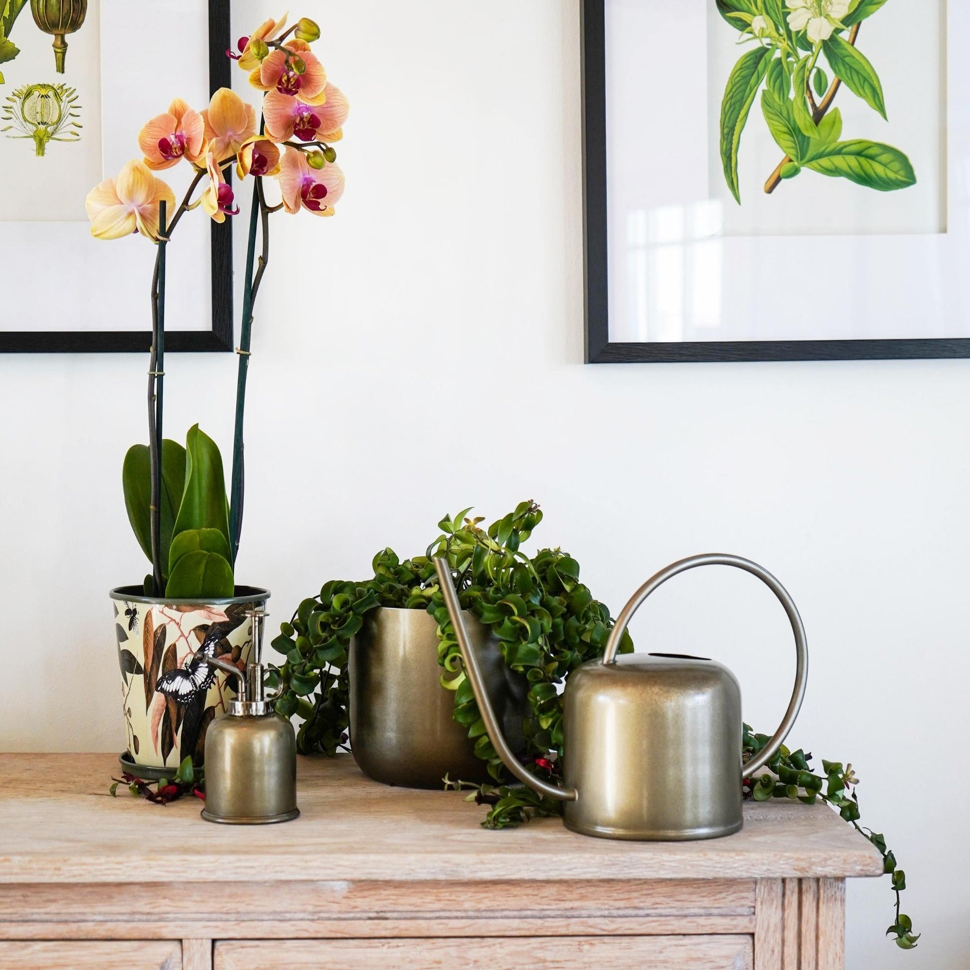 Skandi London Plant Watering Can in Brass - Skandi London