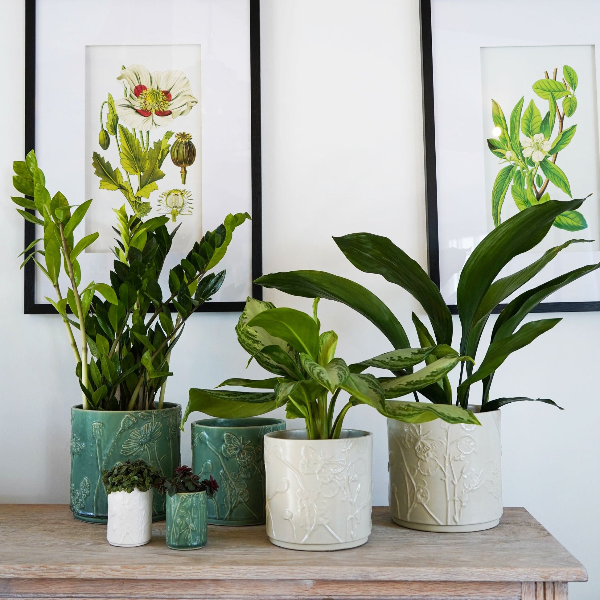 Skandi London Verdant Planter in Olive - Medium - Skandi London