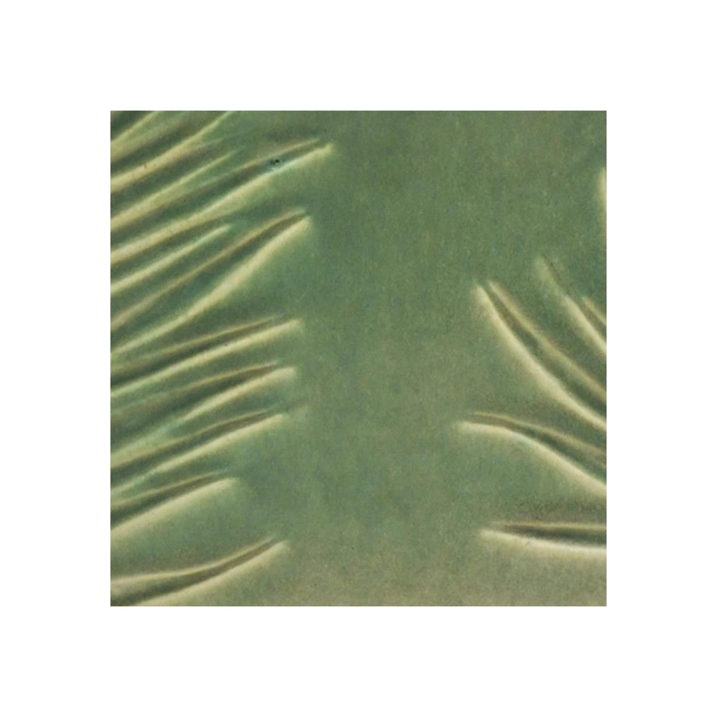 Skandi London Leaf Etched Bowl in Olive - Skandi London