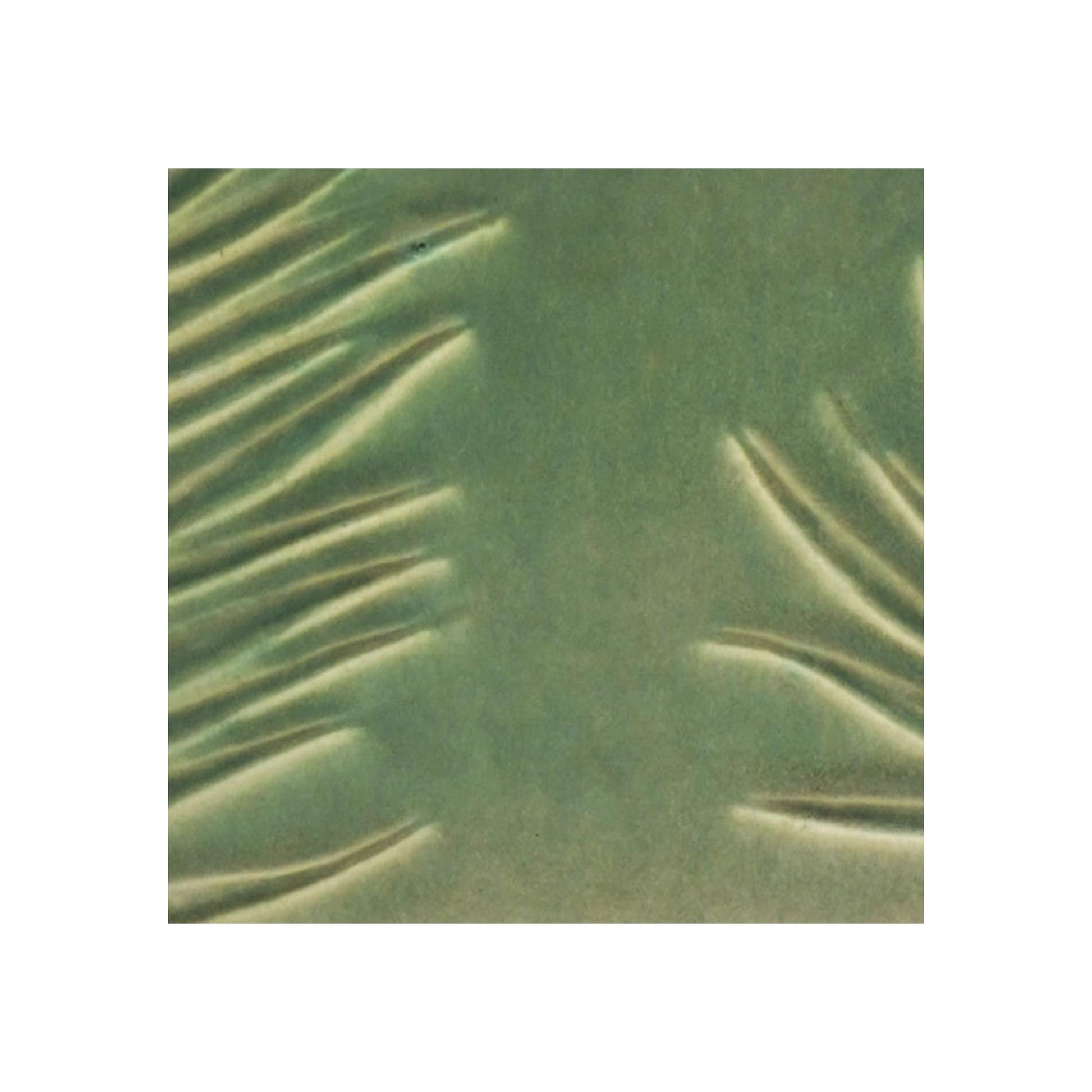Skandi London Leaf Etched Bowl in Olive - Skandi London