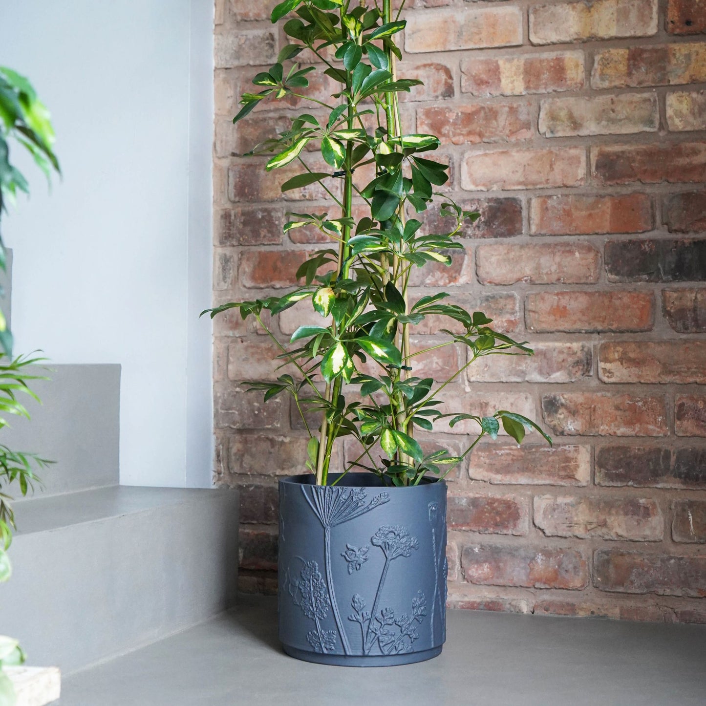 Skandi London Midnight Aura Planter - Small - Skandi London