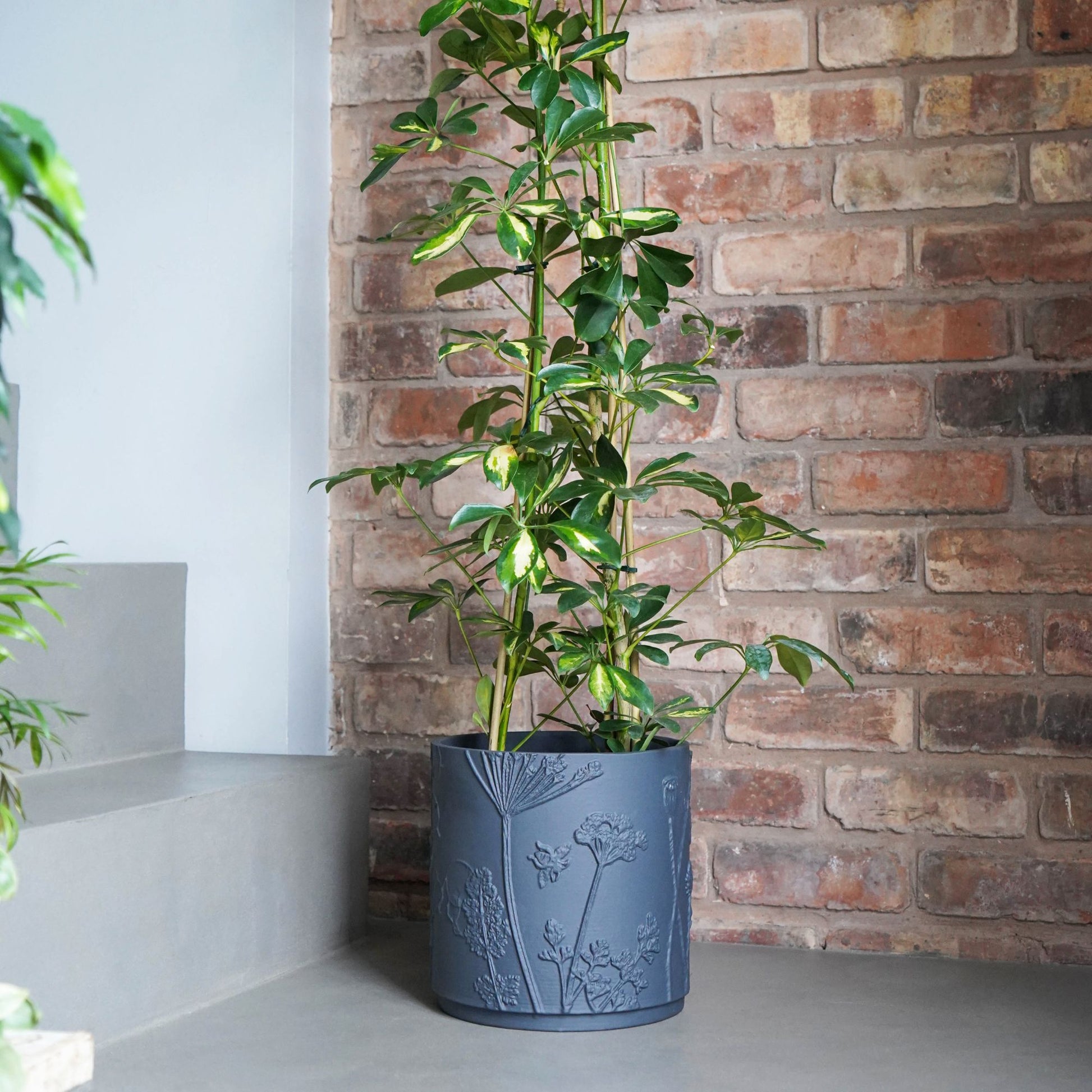 Skandi London Midnight Aura Planter - Small - Skandi London