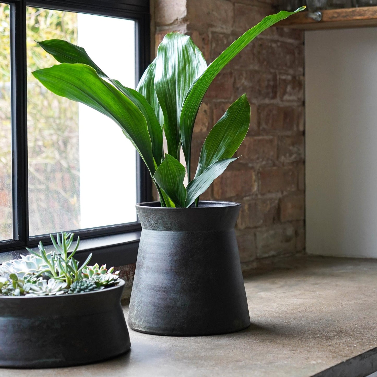 Skandi London Artisan Planter in Bronze - Medium - Skandi London