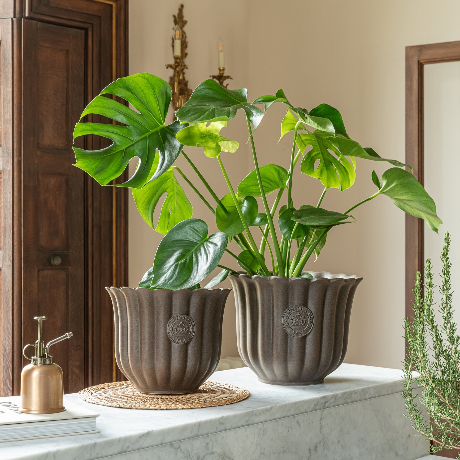 Skandi London Bloom Planter in Coffee - Large - Skandi London