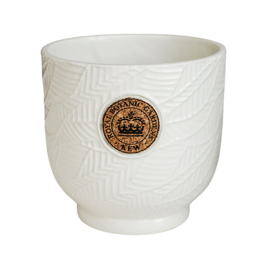 Skandi London Cork Emblem Earthy Planter in Eggshell - Large - Skandi London