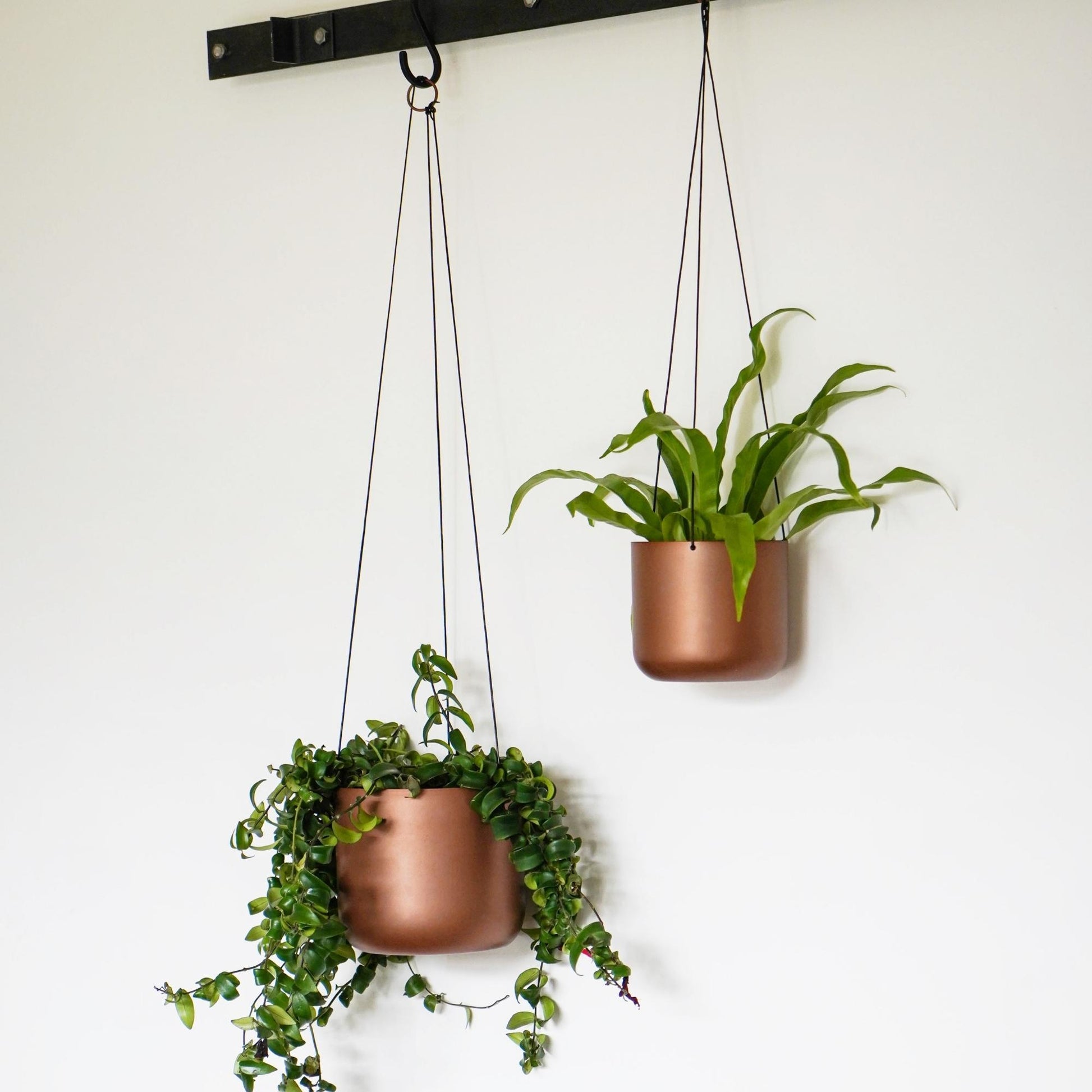 Skandi London Hanging Planter in Copper - Large - Skandi London
