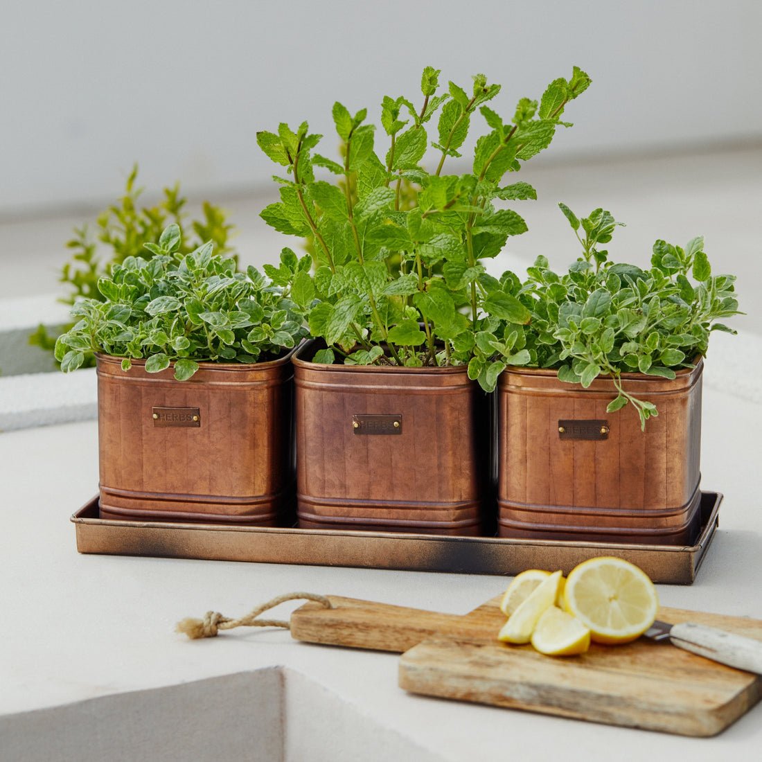 Outdoor Ulrica Copper Set of 3 Herb Planters With Tray - Skandi London