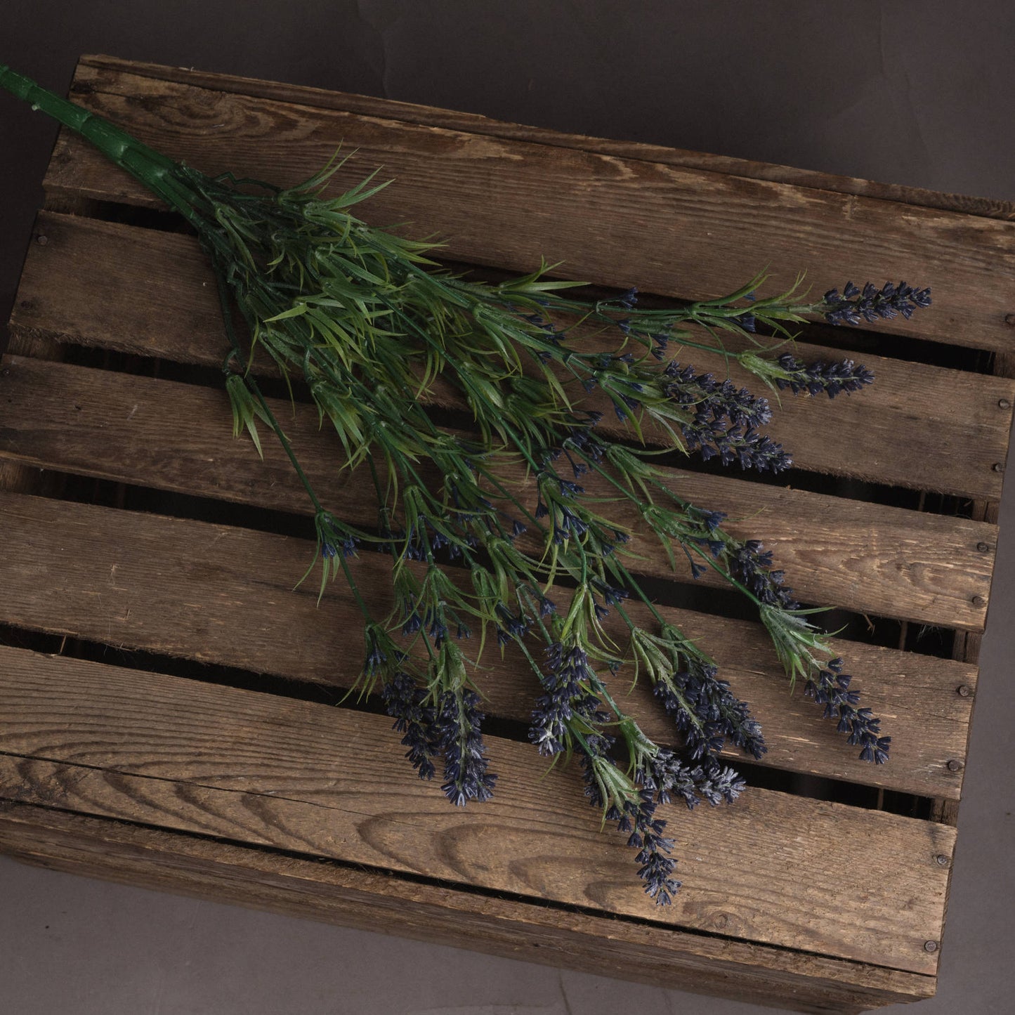 Skandi London Large Lavender Bush - Skandi London