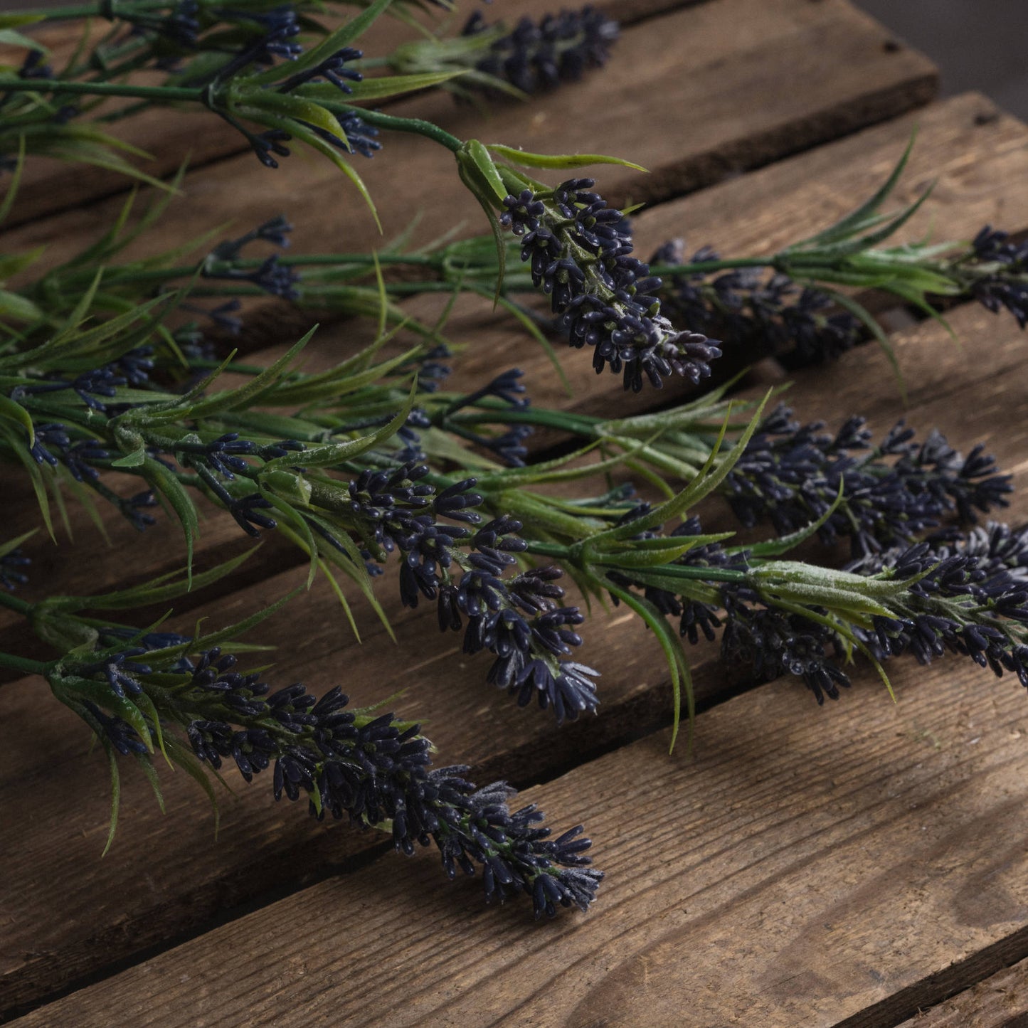 Skandi London Large Lavender Bush - Skandi London