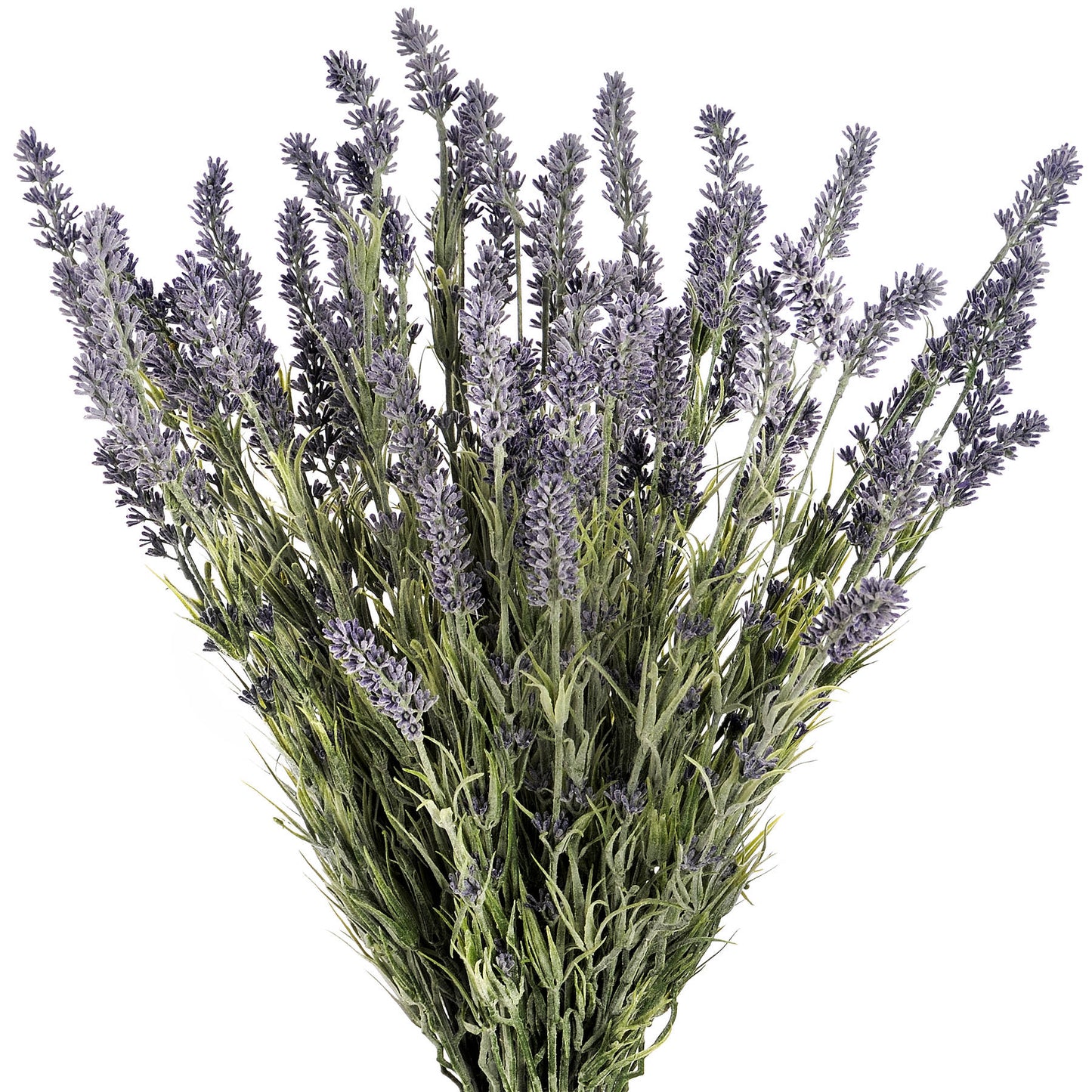 Skandi London Large Lavender Bush - Skandi London