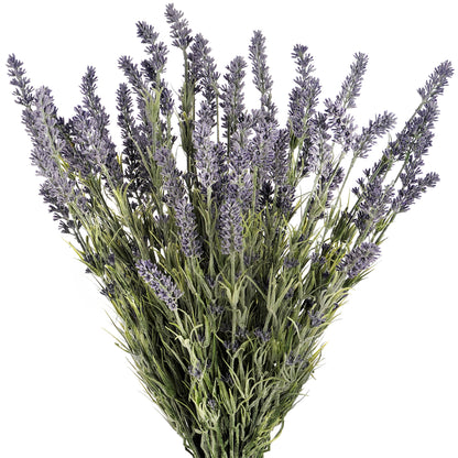 Skandi London Large Lavender Bush - Skandi London