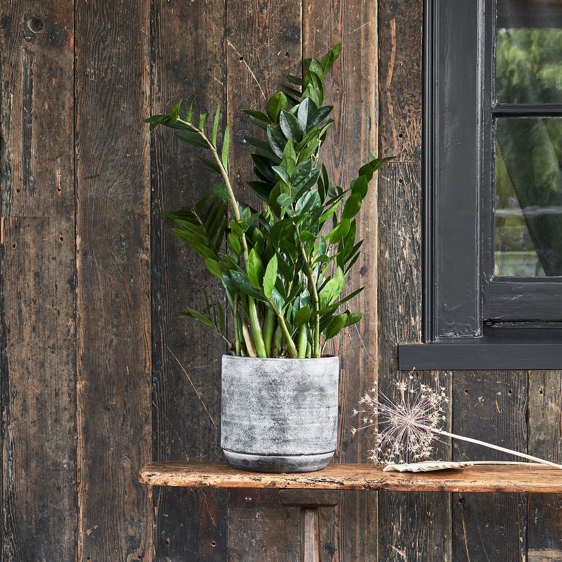 Wray Earth Planter - Skandi London