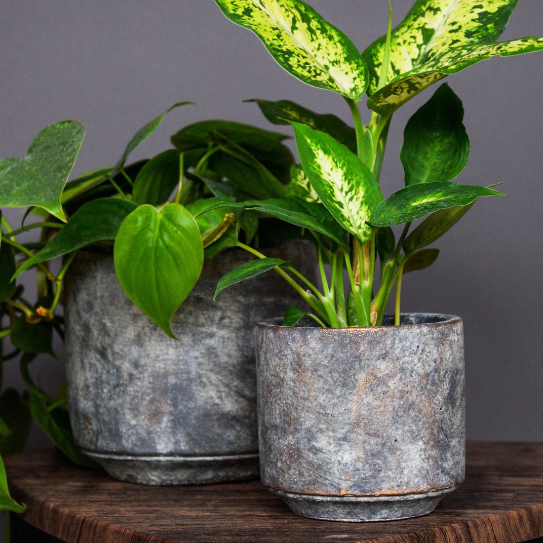 Wray Earth Planter - Skandi London