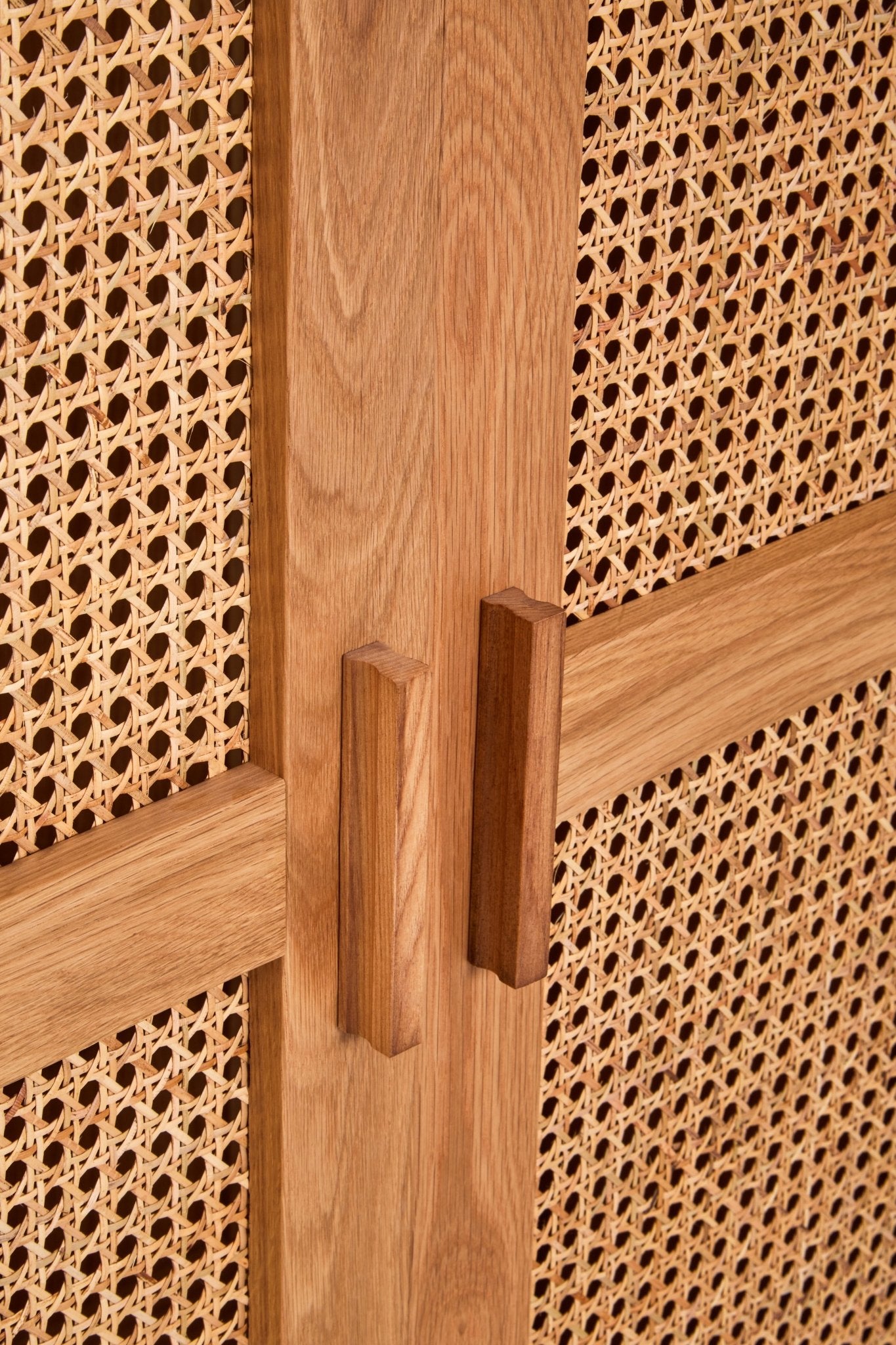 Janica 2 Door Natural Rattan And Oak Cabinet - Skandi London