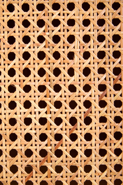 Janica 2 Door Natural Rattan And Oak Cabinet - Skandi London