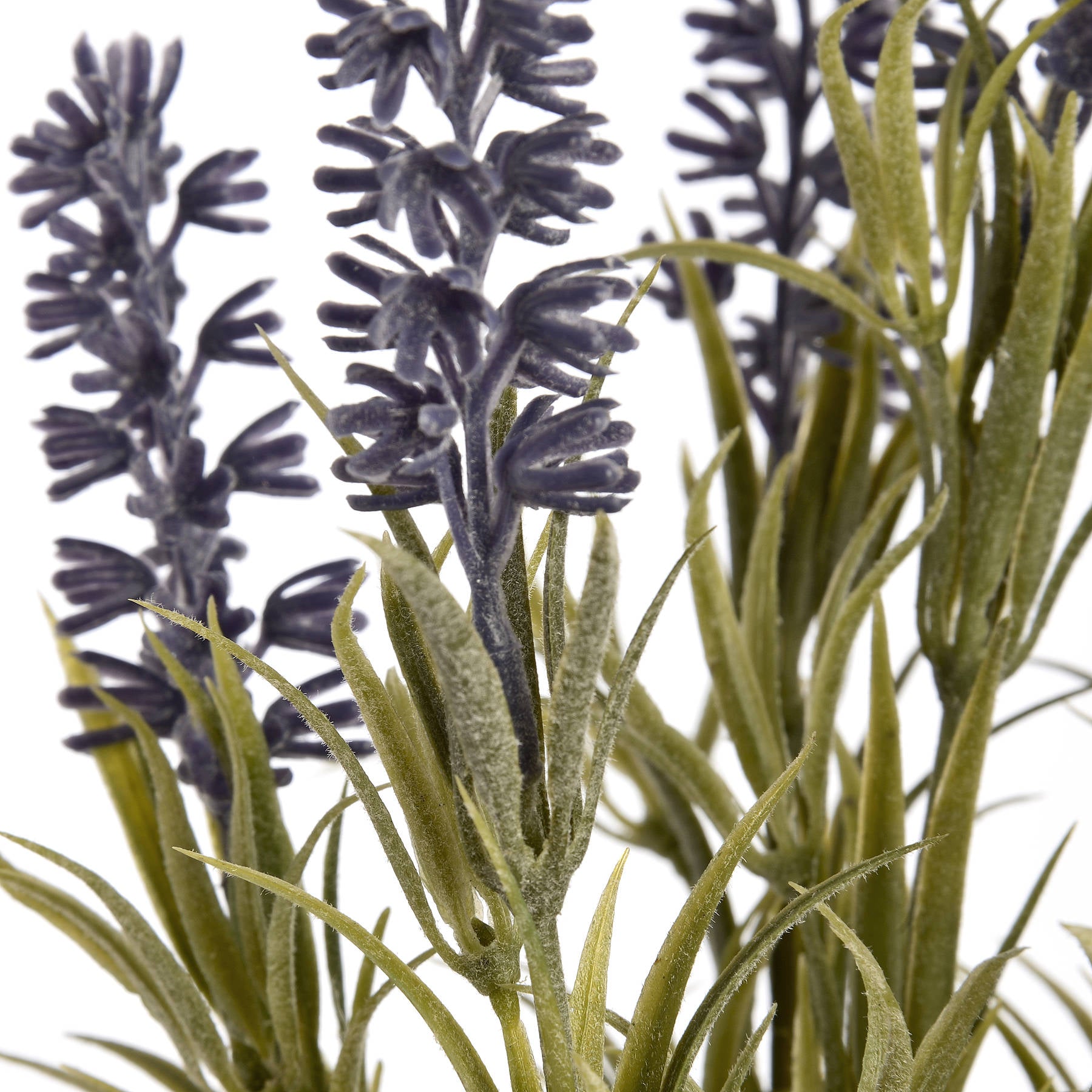 Skandi London Small Lavender Spray - Skandi London