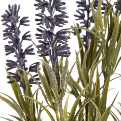 Skandi London Small Lavender Spray - Skandi London