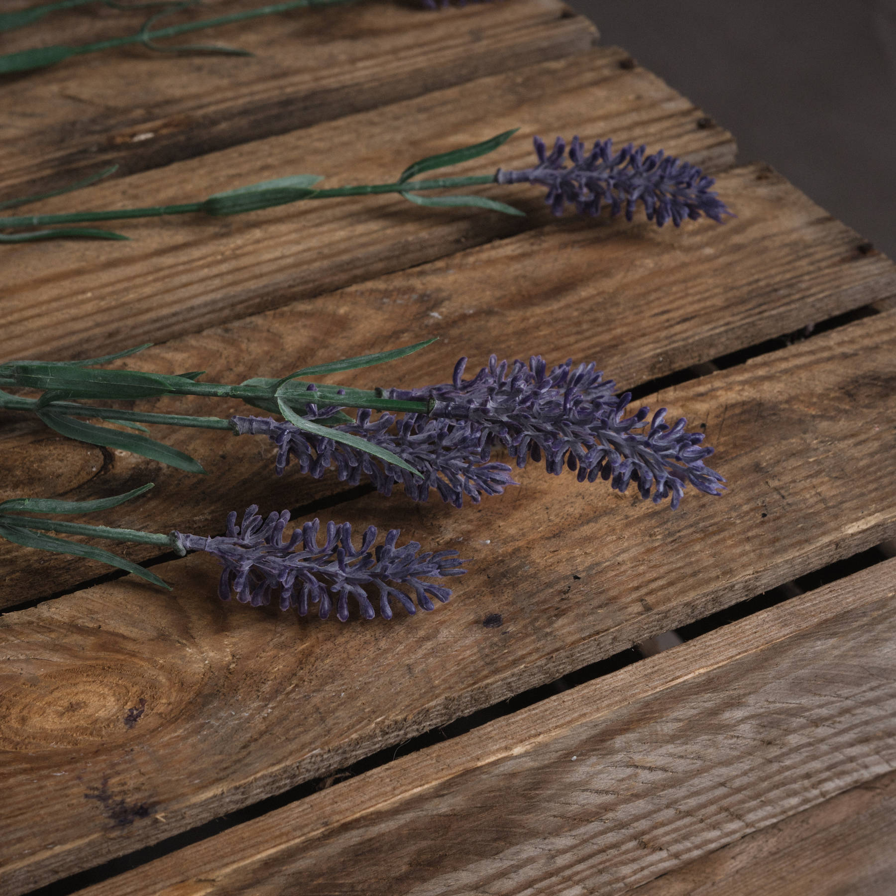 Skandi London Large Lavender Spray - Skandi London