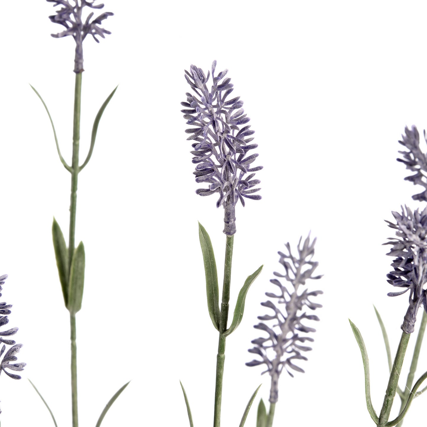 Skandi London Large Lavender Spray - Skandi London