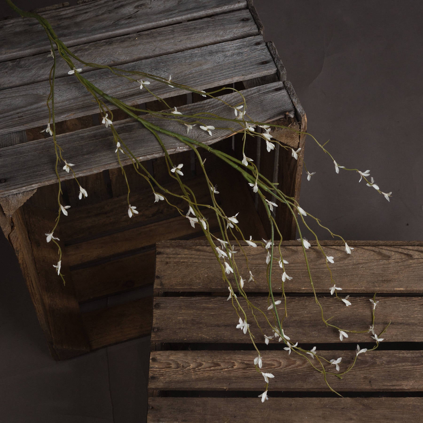Skandi London White Willow Spray - Skandi London
