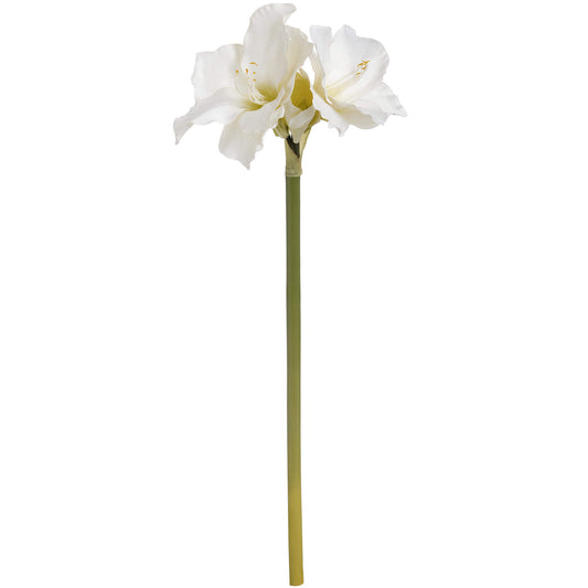 Skandi London Classic White Amaryllis Flower - Skandi London