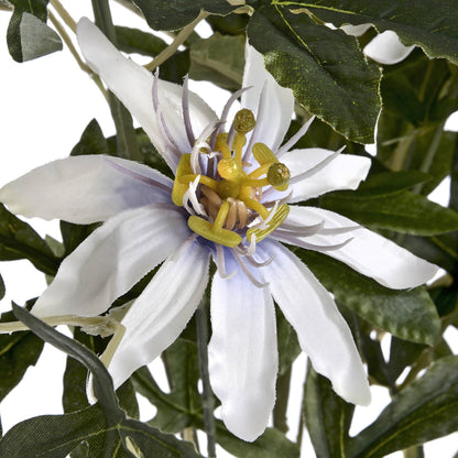 Skandi London Passion Flower Spray - Skandi London