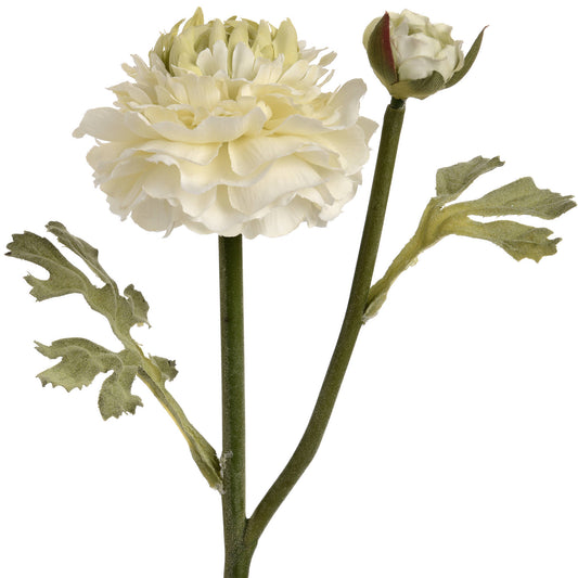 Skandi London Green Ranunculus Spray - Skandi London