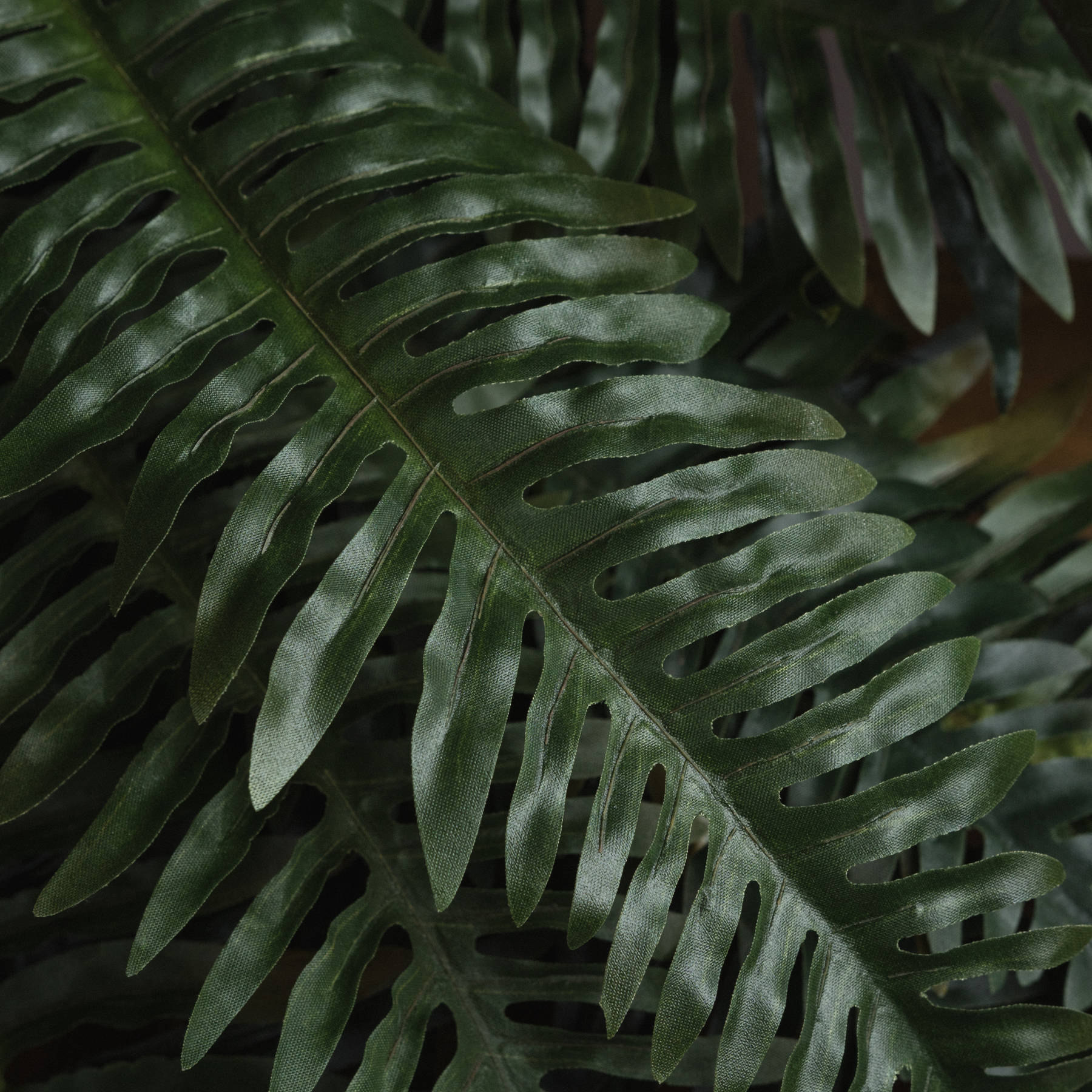 Skandi London Fern Bunch - Skandi London