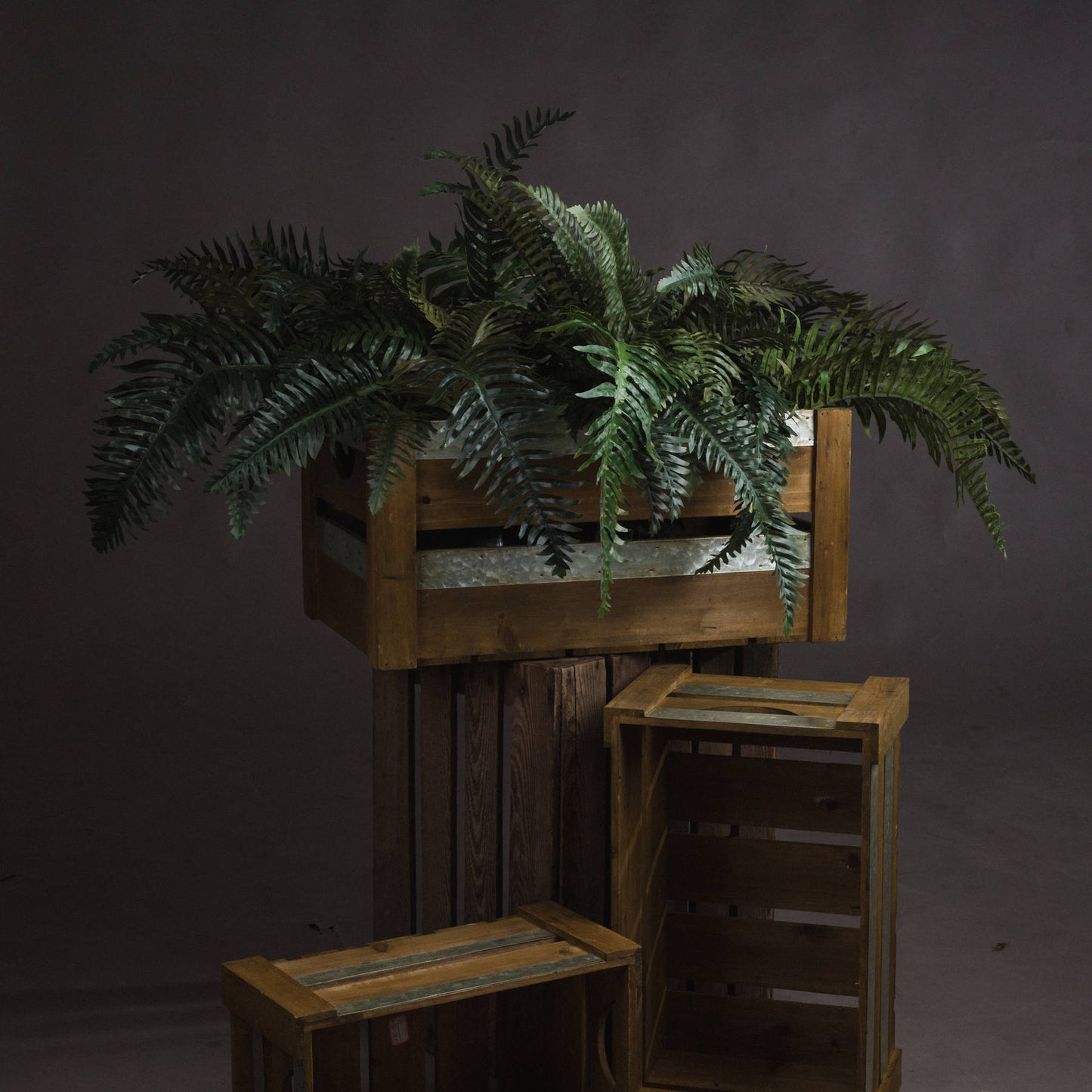 Skandi London Fern Bunch - Skandi London