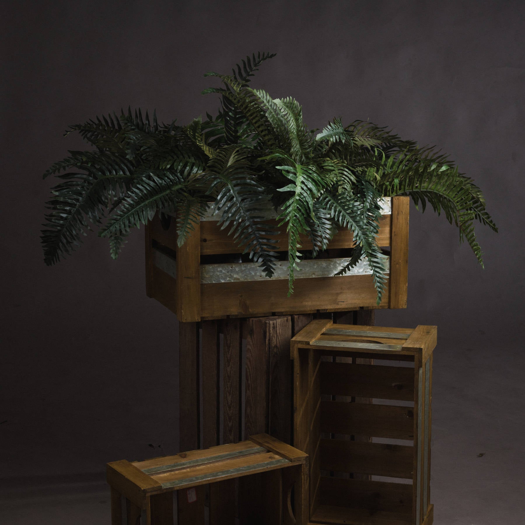 Skandi London Fern Bunch - Skandi London