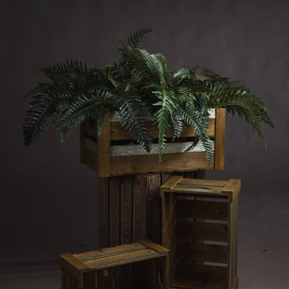 Skandi London Fern Bunch - Skandi London